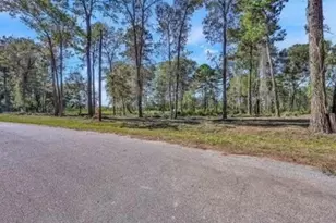 10171 Ehlers Rd, Conroe, TX 77302 - Photo 3