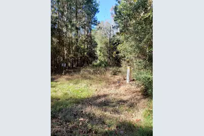 0000 County Road 2097, Liberty, TX 77575 - Photo 1