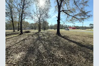 356 Skains Lane, Trinity, TX 75862 - Photo 3