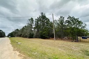 290 Humbird, Cleveland, TX 77328 - Photo 31