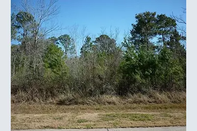 7311 Bayou Timbers Drive, Alvin, TX 77511 - Photo 5