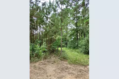 811 Plantation Drive, Livingston, TX 77351 - Photo 9