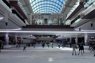 2400 McCue Rd, Houston, TX 77056 - Photo 37