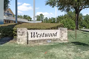 903 Douglas Fir Dr, Magnolia, TX 77354 - Photo 33