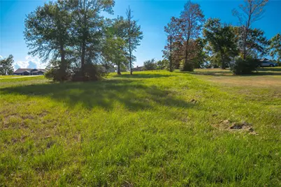 225 Peninsula Drive, Livingston, TX 77351 - Photo 3