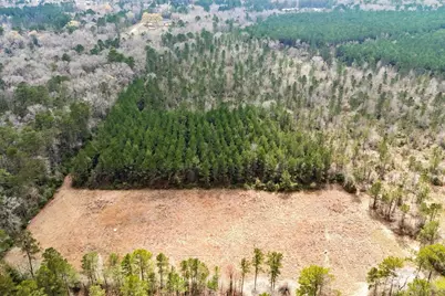 0 County Road 3704B, Cleveland, TX 77327 - Photo 5