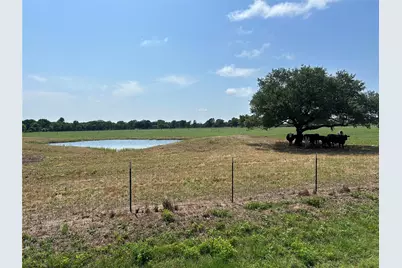 38535 Wiggins Road, Hempstead, TX 77445 - Photo 13