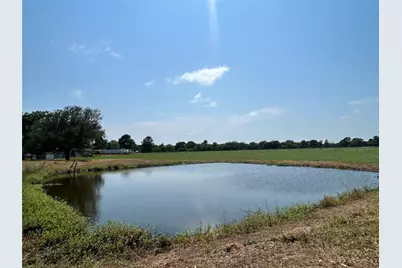38535 Wiggins Road, Hempstead, TX 77445 - Photo 9
