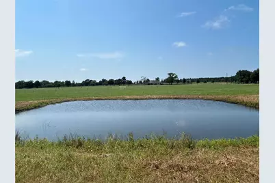 38535 Wiggins Road, Hempstead, TX 77445 - Photo 7
