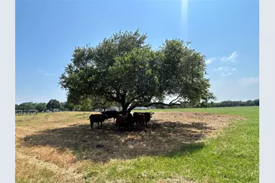 38535 Wiggins Road, Hempstead, TX 77445 - Photo 15