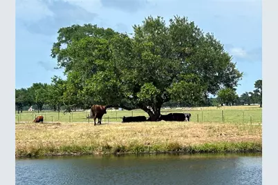 38535 Wiggins Road, Hempstead, TX 77445 - Photo 5
