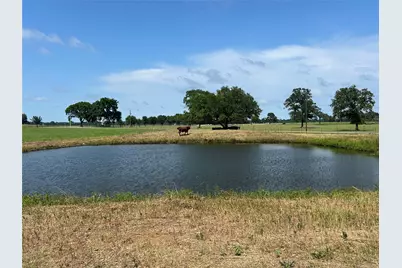 38535 Wiggins Road, Hempstead, TX 77445 - Photo 3