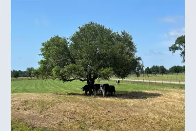 38535 Wiggins Road, Hempstead, TX 77445 - Photo 13