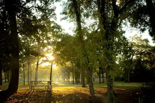 1131 Sopris Dr, Houston, TX 77077 - Photo 33