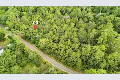 00 County Road 201 Loop, Plantersville, TX 77363 - Photo 13