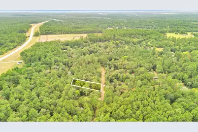 00 County Road 201 Loop, Plantersville, TX 77363 - Photo 11