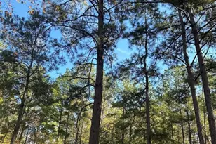 Tbd 9845 Fm 149 Rd, Montgomery, TX 77316 - Photo 1