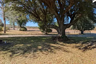 6653 Fm 1003 Road N, Kountze, TX 77625 - Photo 39