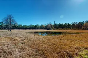 6653 Fm 1003 Road N, Kountze, TX 77625 - Photo 33