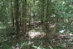 3646 Upper Leggett Rd, Livingston, TX 77351 - Photo 13