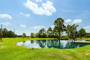 1140 County Rd 301 N, Dayton, TX 77535 - Photo 39