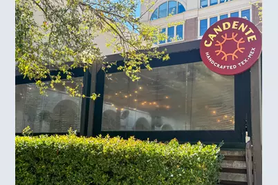 816 Richmond Avenue, Houston, TX 77006 - Photo 5