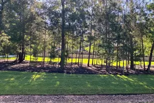 7738 Dog Wood Acres Dr, Montgomery, TX 77316 - Photo 29