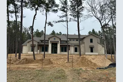 7738 Dog Wood Acres Drive, Montgomery, TX 77316 - Photo 1