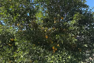 18006 Barton Ridge Ln, Richmond, TX 77407 - Photo 17