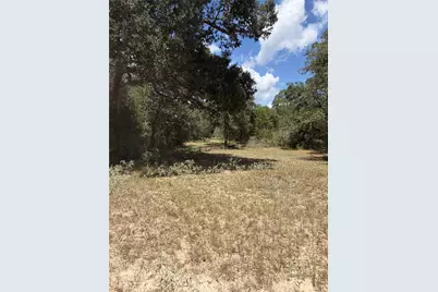 Tbd County Road 119/Pvt1024 Cr 1024, Hallettsville, TX 77964 - Photo 13