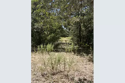 Tbd County Road 119/Pvt1024 Cr 1024, Hallettsville, TX 77964 - Photo 9