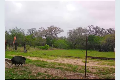 10423 State Highway 21 W, Crockett, TX 75835 - Photo 3