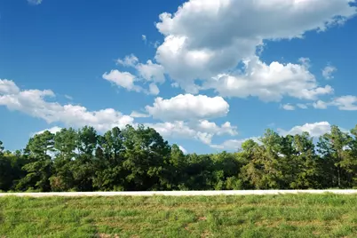 16018 Oregon Oak Drive, Houston, TX 77084 - Photo 15