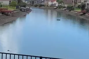 5203 Auckland Dr Dr, Sugar Land, TX 77498 - Photo 3