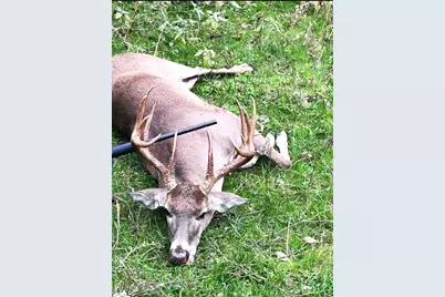 1306 County Road 3455A, Lovelady, TX 75851 - Photo 35