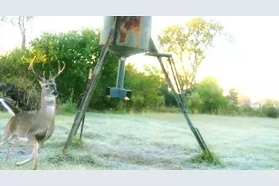 1306 County Road 3455A, Lovelady, TX 75851 - Photo 5