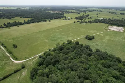 1306 County Road 3455A, Lovelady, TX 75851 - Photo 13