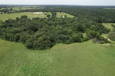 1306 County Road 3455A, Lovelady, TX 75851 - Photo 9