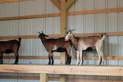 11920 Dinner Bell Drive, Montgomery, TX 77316 - Photo 11