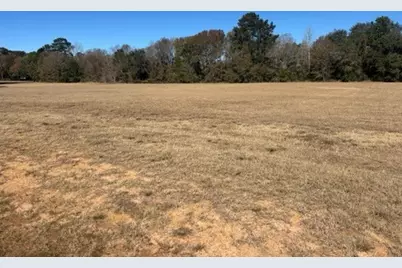 213 Hidden Oak Drive, Hockley, TX 77447 - Photo 7