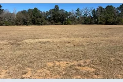 213 Hidden Oak Drive, Hockley, TX 77447 - Photo 5