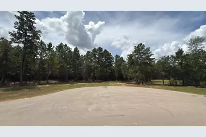 7625 Trinity Pines Dr, Montgomery, TX 77316 - Photo 5