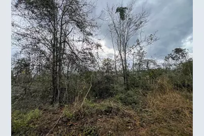 2 County Road 3038, Newton, TX 75966 - Photo 7