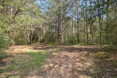 15946 Fm 1094, Cat Spring, TX 78933 - Photo 43