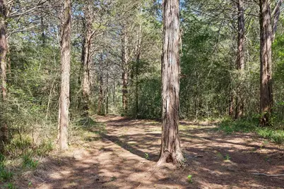 15946 Fm 1094, Cat Spring, TX 78933 - Photo 45