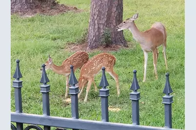 3303 N Cotswold Manor Drive, Kingwood, TX 77339 - Photo 43