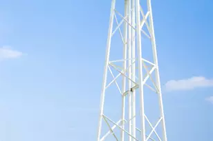 31215 Firefly Mdw Ct, Fulshear, TX 77423 - Photo 35