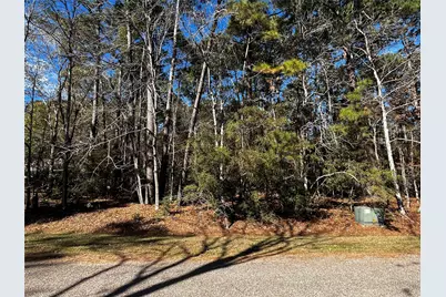 10 Wentworth Lane, Coldspring, TX 77331 - Photo 1