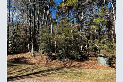 10 Wentworth Lane, Coldspring, TX 77331 - Photo 3