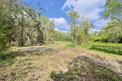 6306 County Road 244, Brazoria, TX 77422 - Photo 17